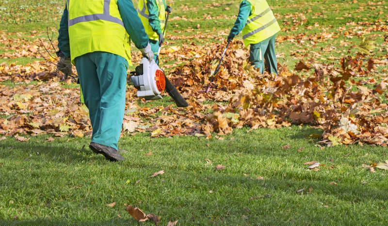 Leaf Vacuuming