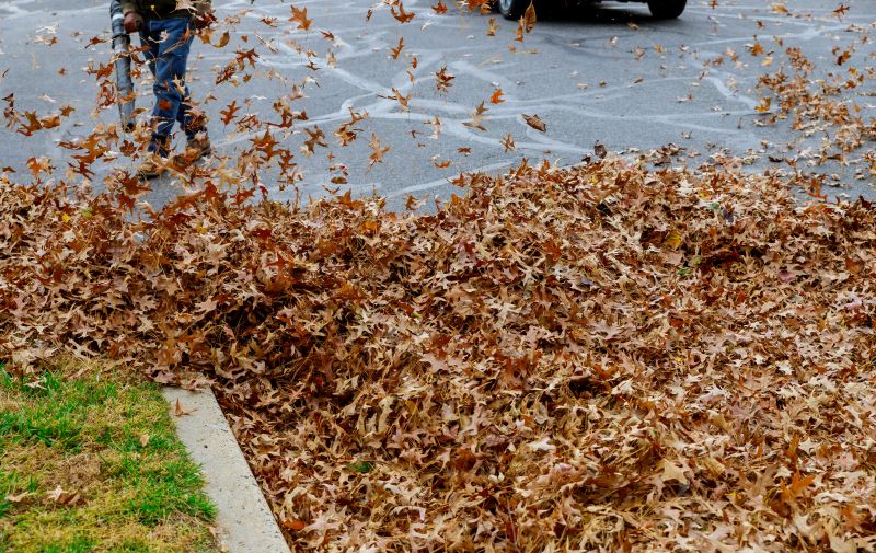 Yard After Leaf Vacuuming